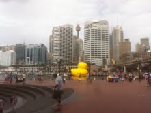 Sydney-Festival-Duck